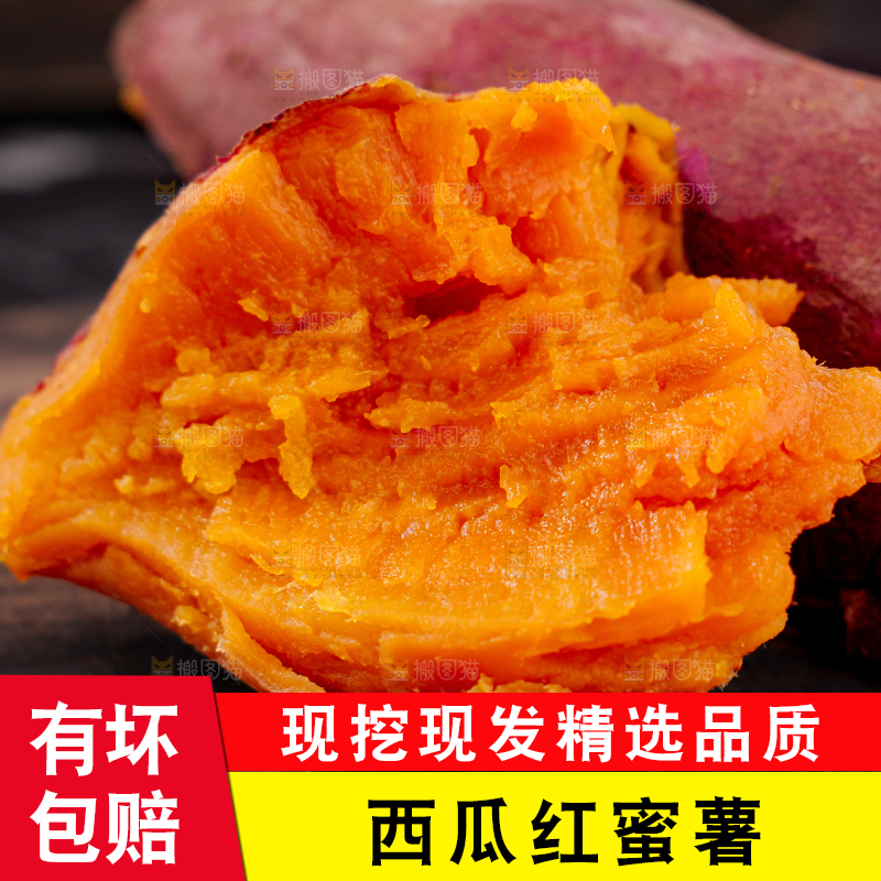 西瓜红蜜薯