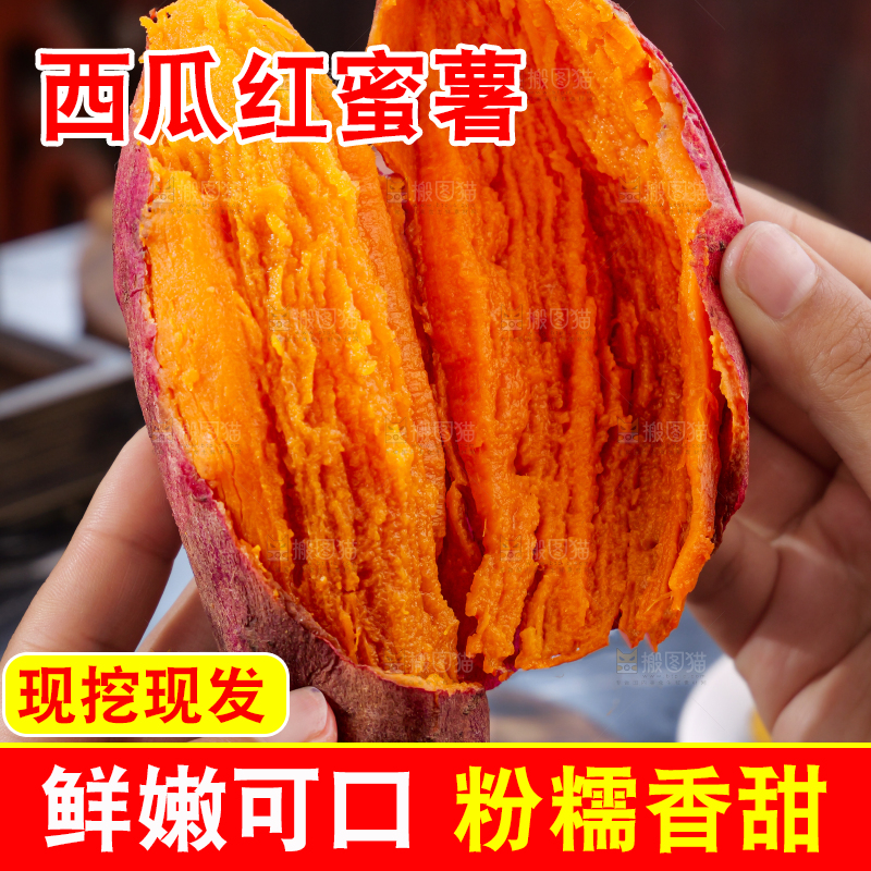 西瓜红蜜薯