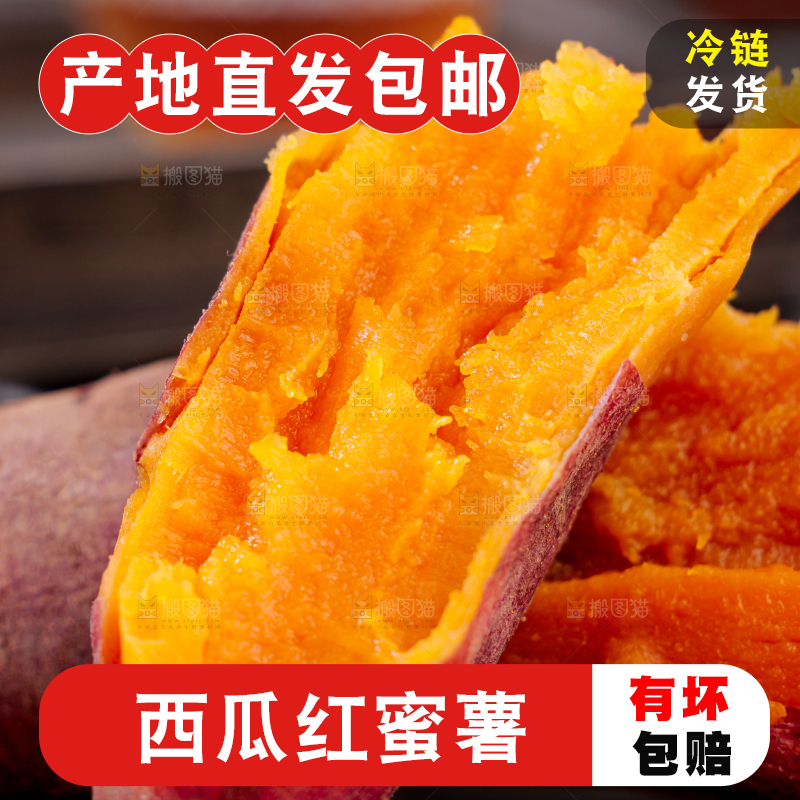西瓜红蜜薯