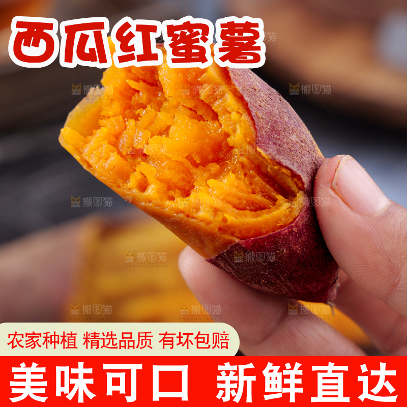西瓜红蜜薯