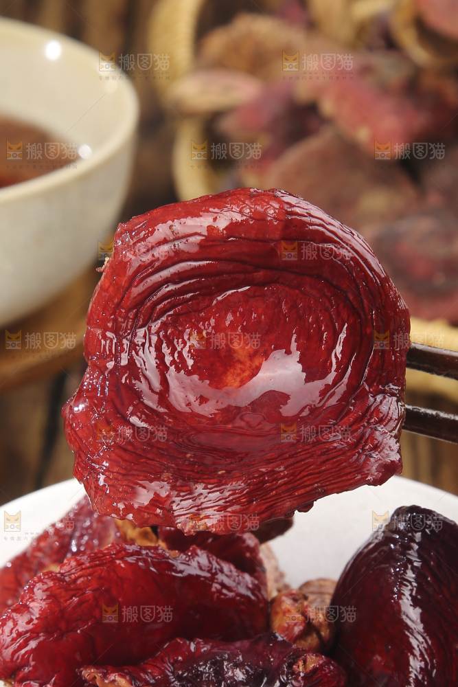 红菇