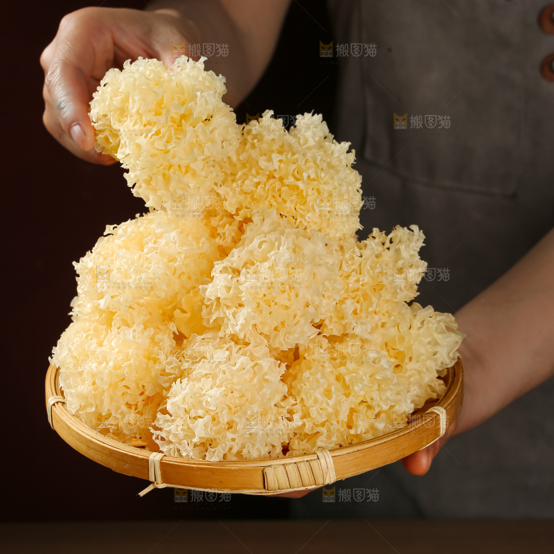 小银耳