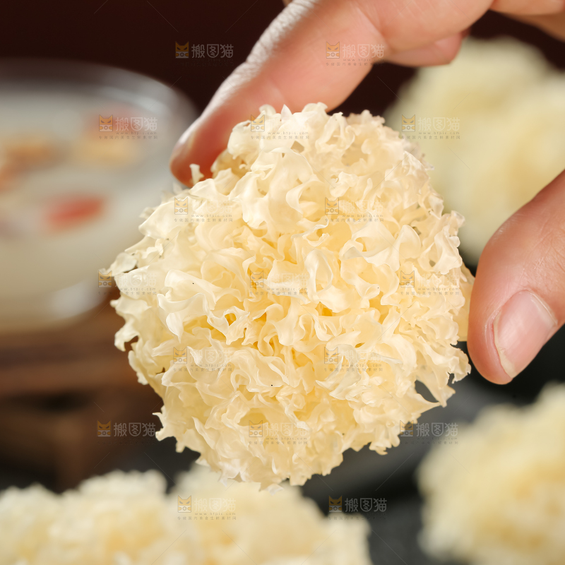 小银耳