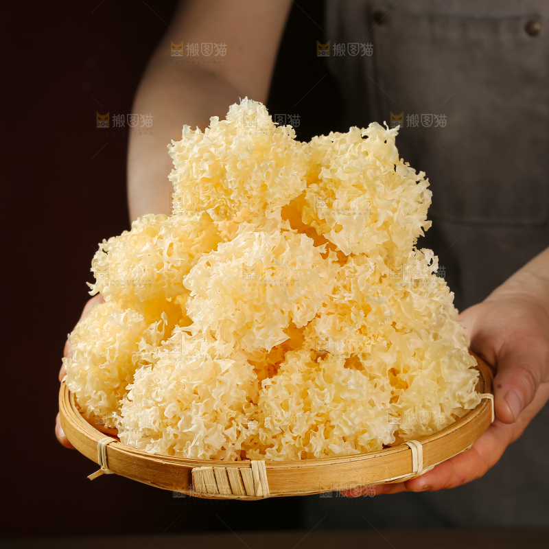 小银耳
