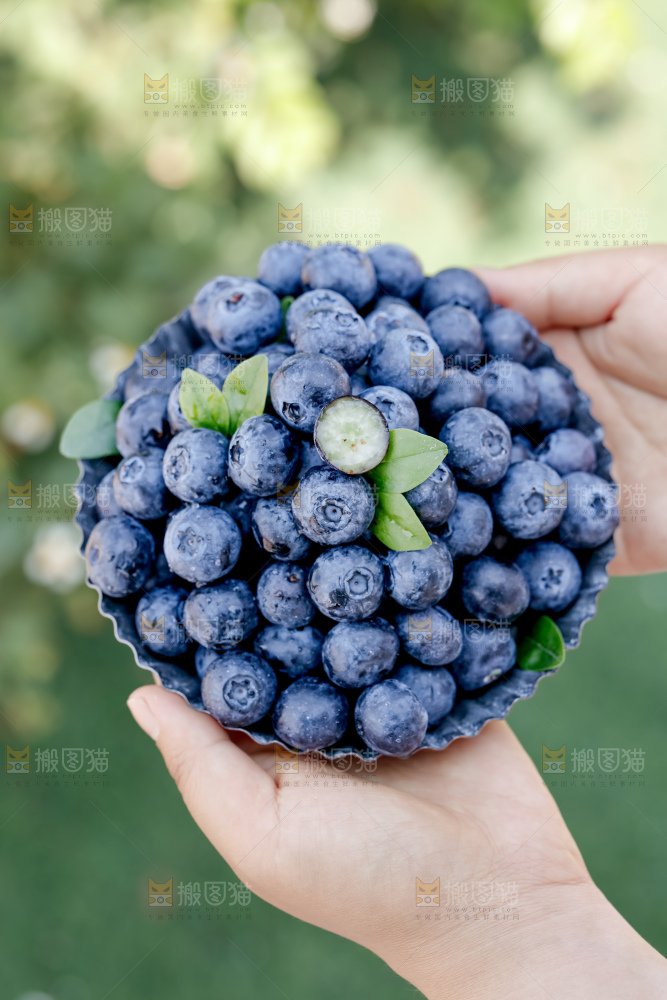 蓝莓