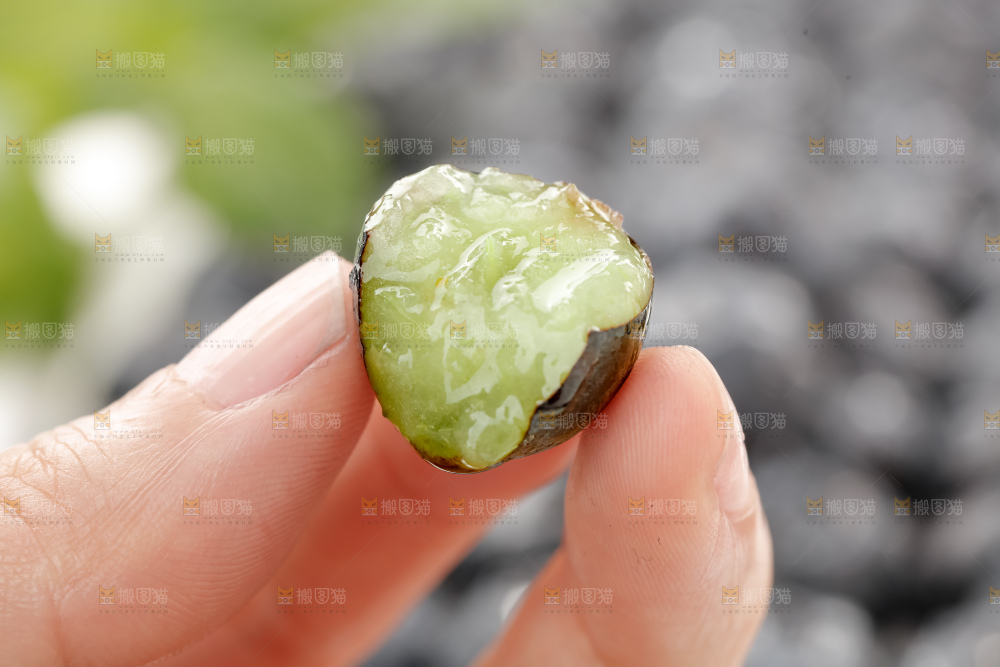 蓝莓