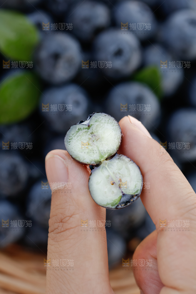 蓝莓