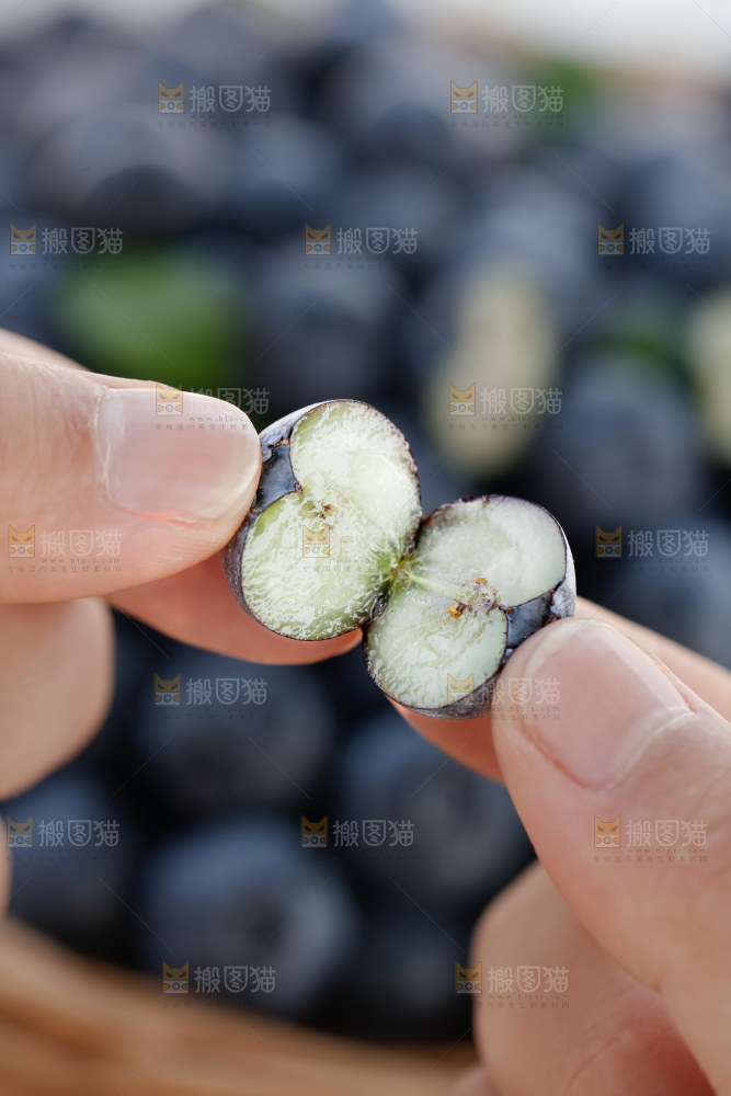 蓝莓