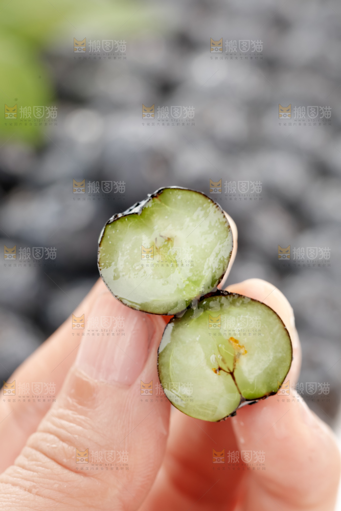 蓝莓