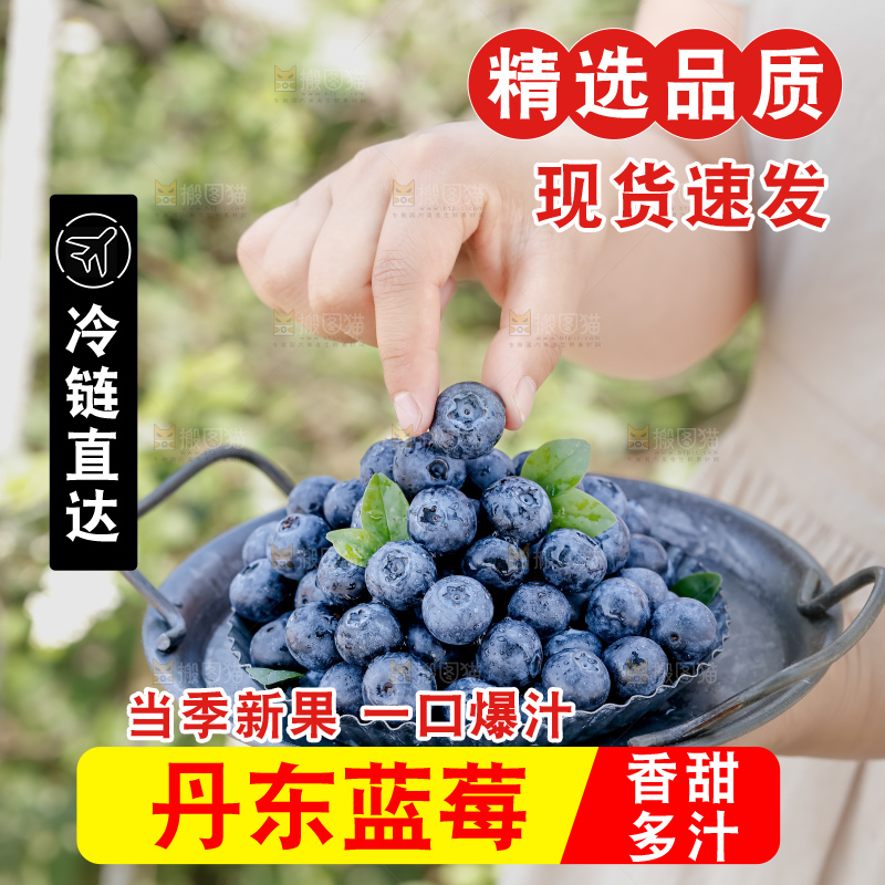 蓝莓