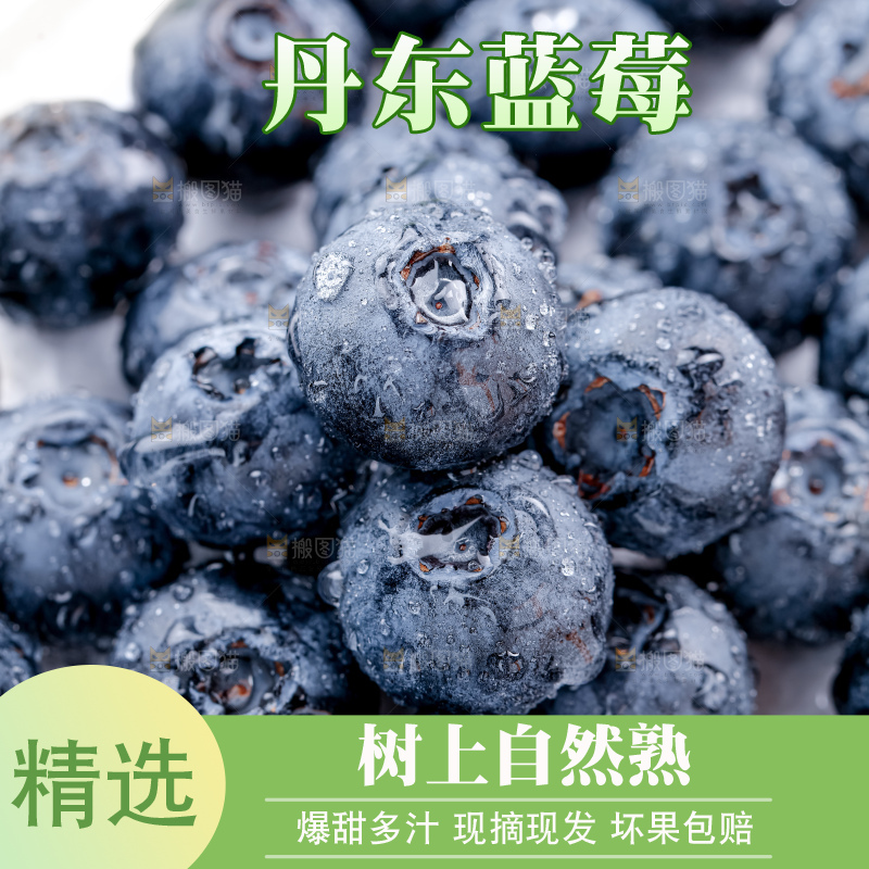 蓝莓