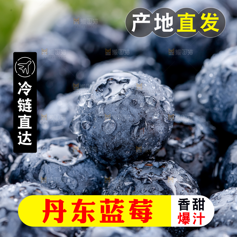 蓝莓