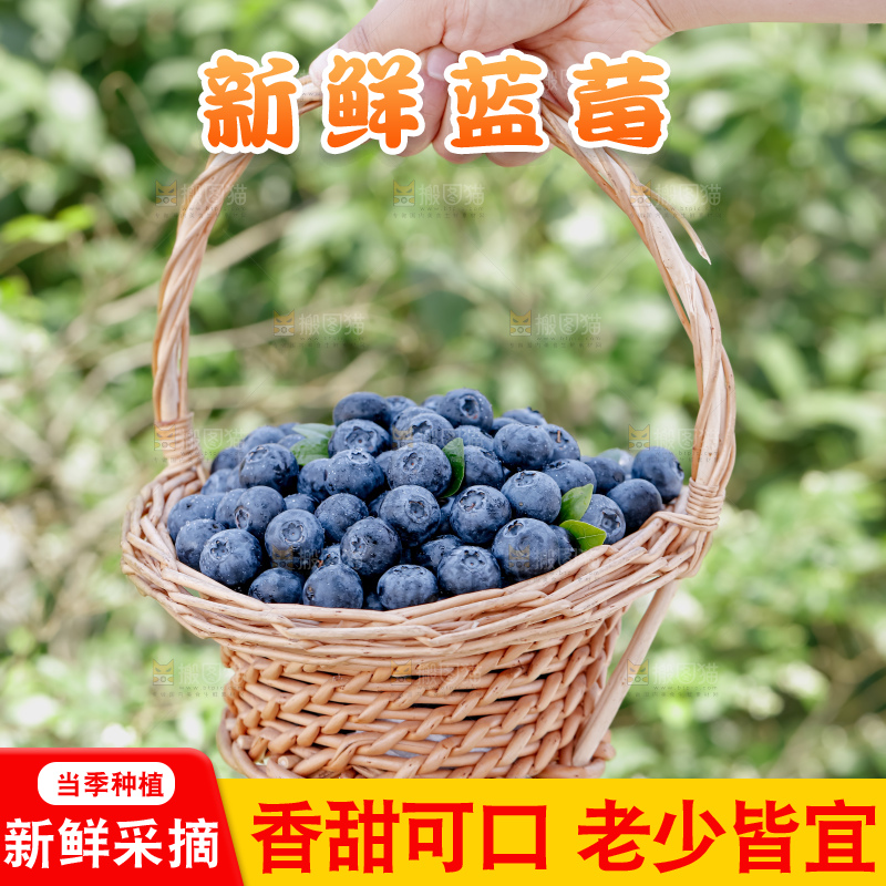 蓝莓