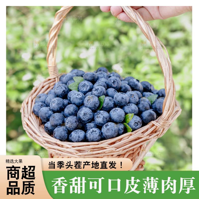 蓝莓