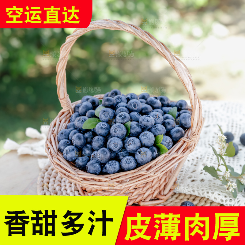 蓝莓