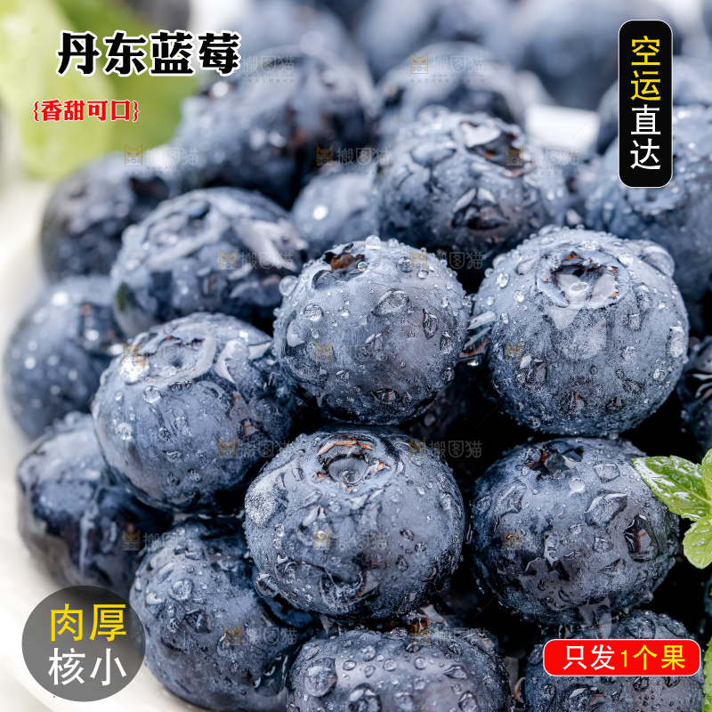 蓝莓
