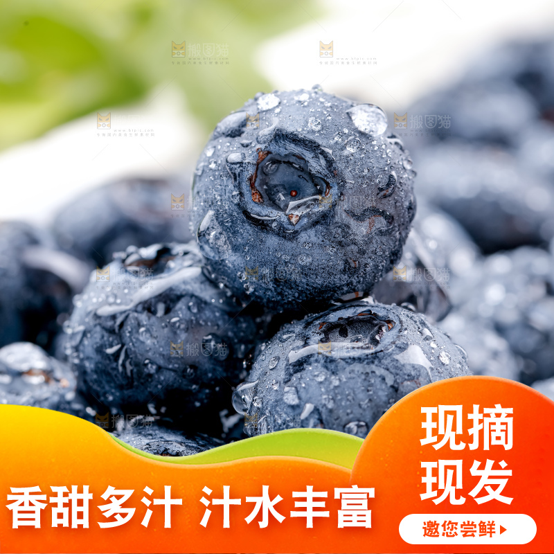 蓝莓