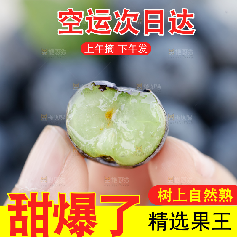 蓝莓
