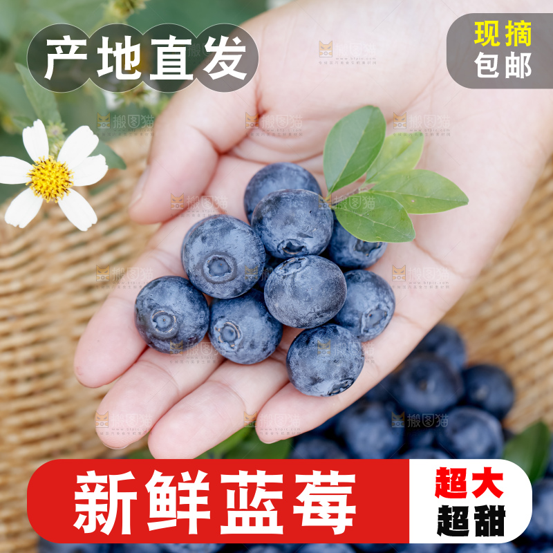 蓝莓
