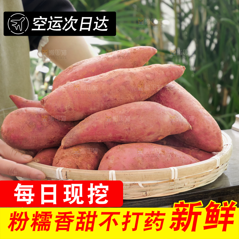 西瓜红蜜薯