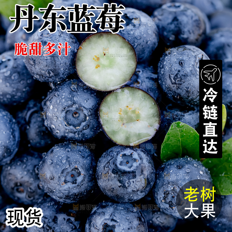 蓝莓