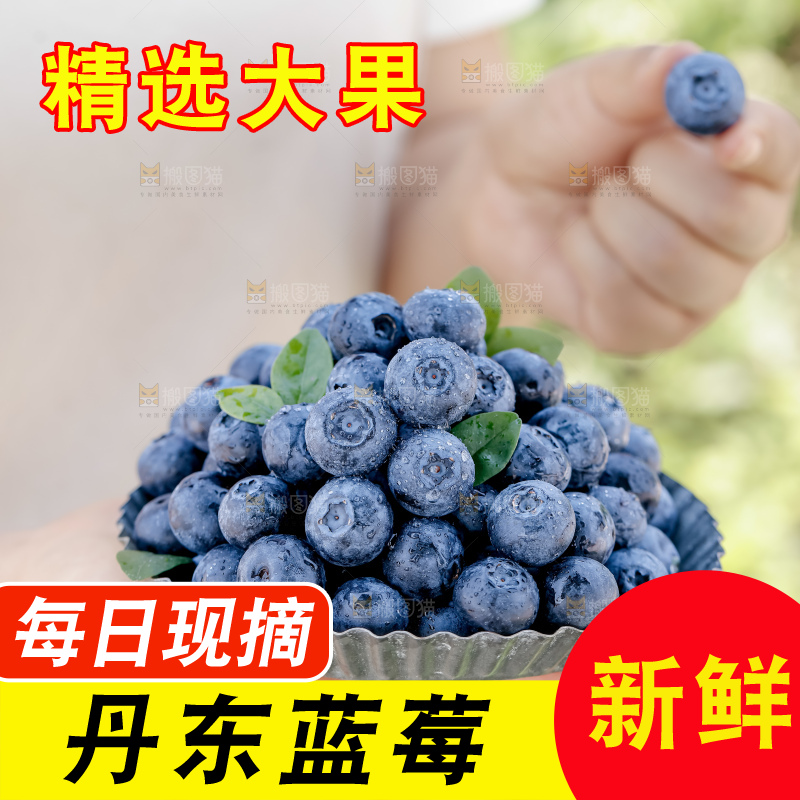 蓝莓