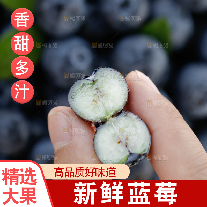 蓝莓