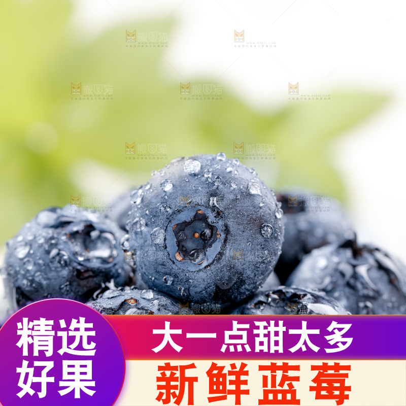 蓝莓