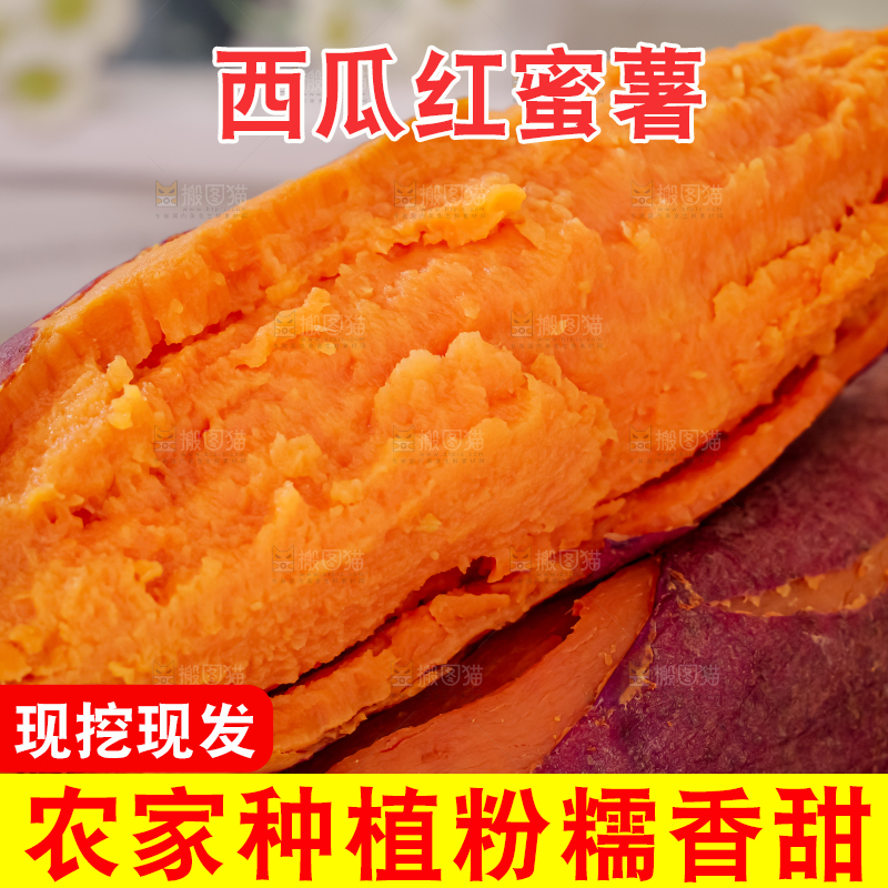 西瓜红蜜薯