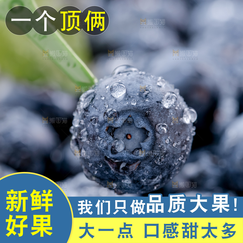 蓝莓
