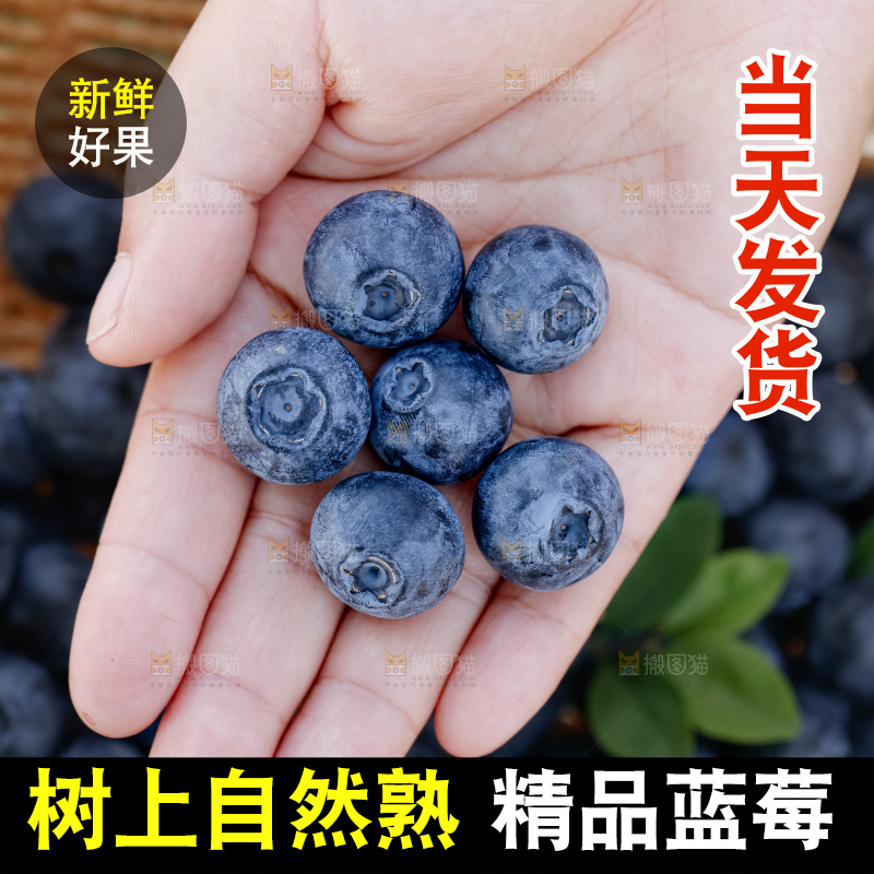 蓝莓