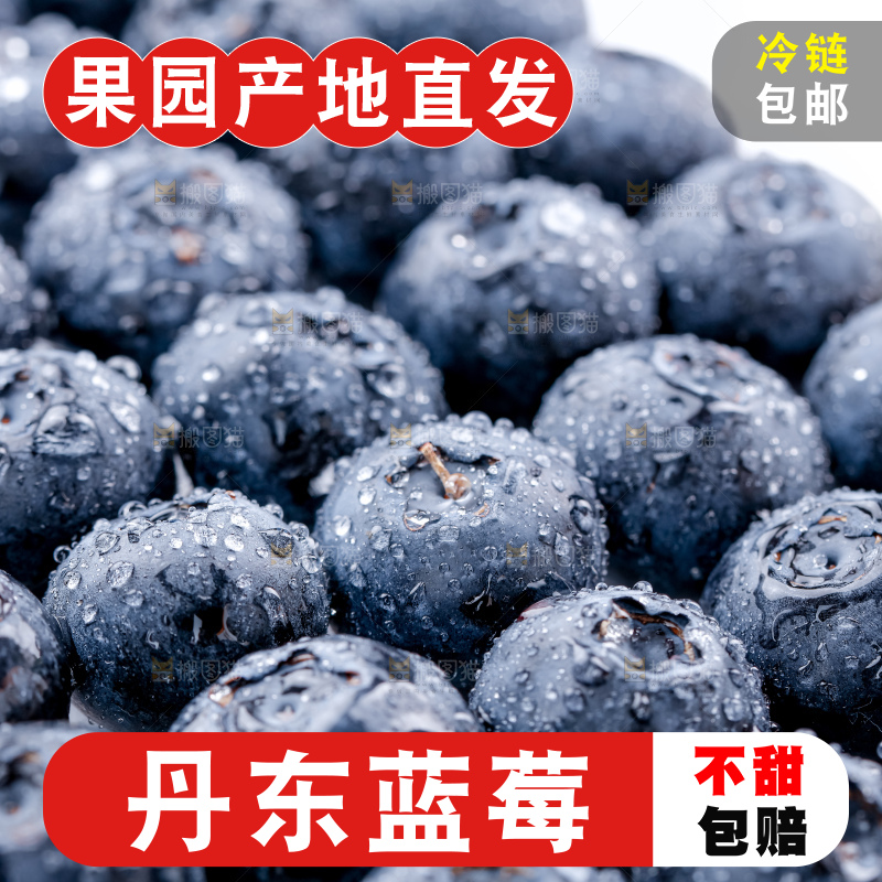 蓝莓