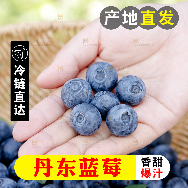 蓝莓