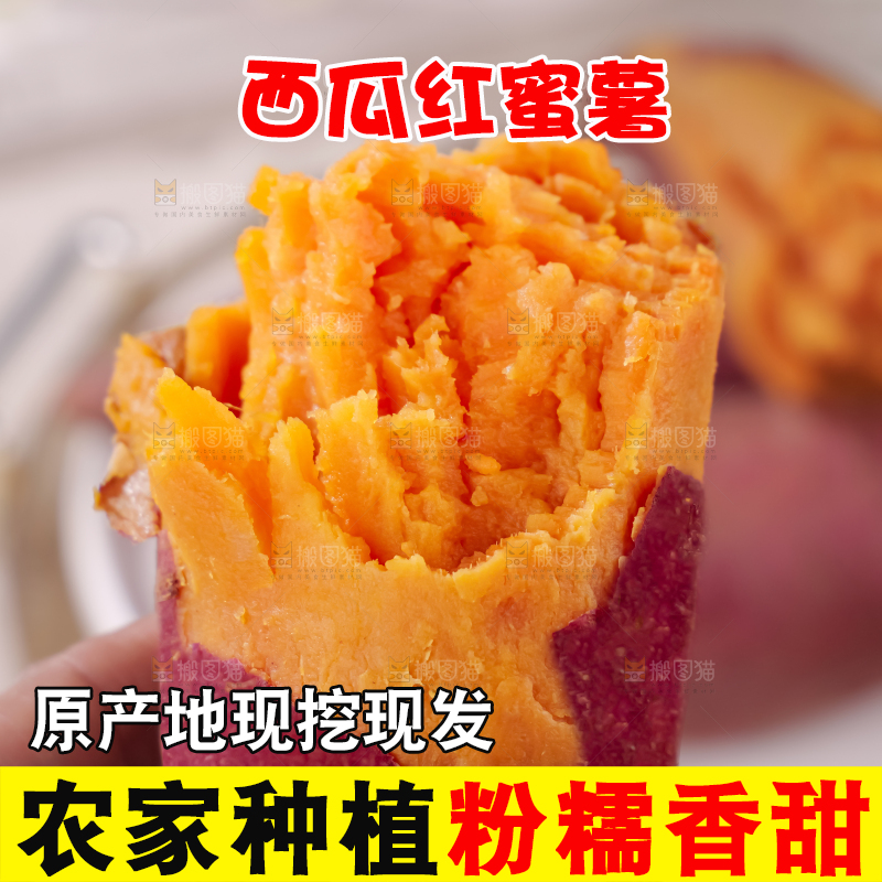 西瓜红蜜薯