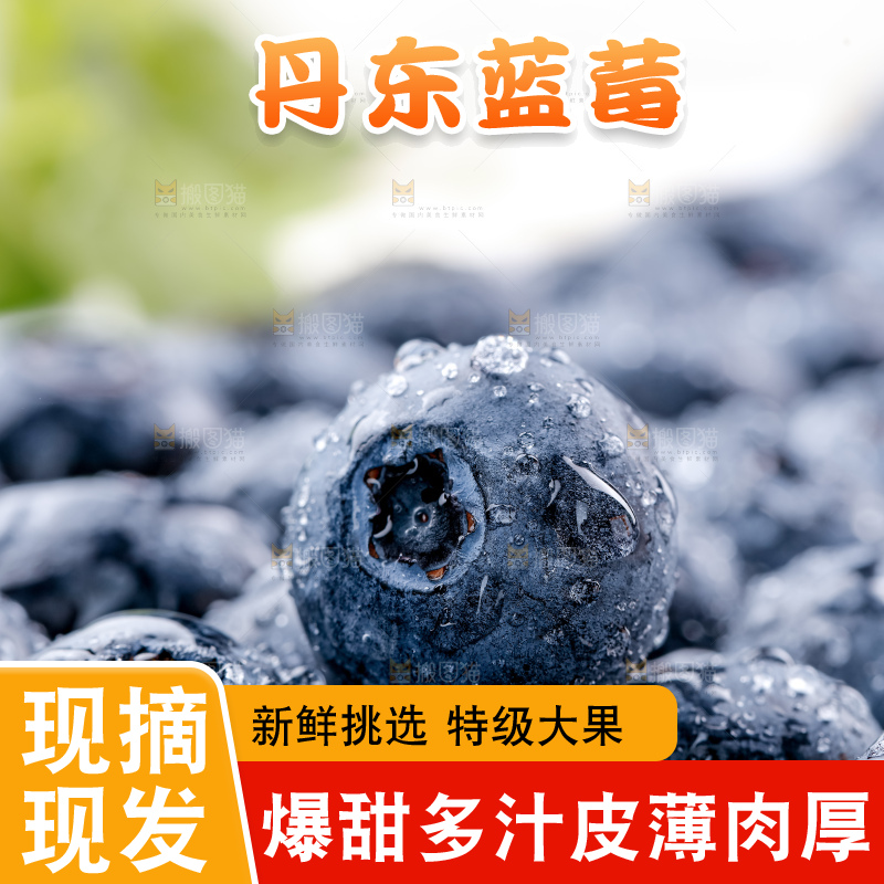 蓝莓