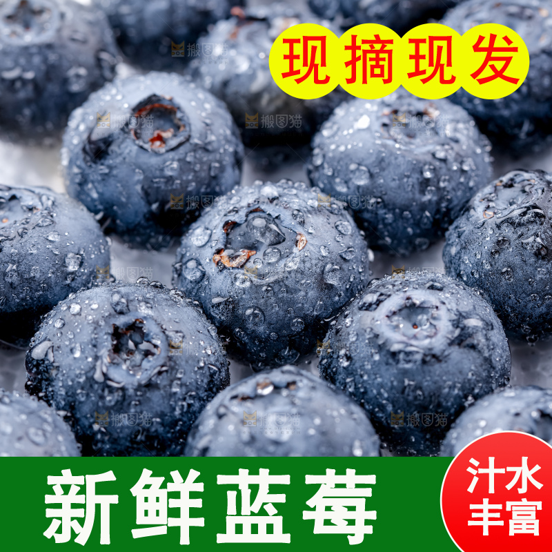 蓝莓