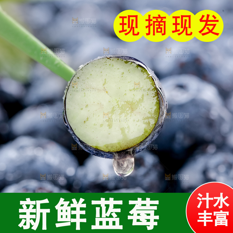 蓝莓