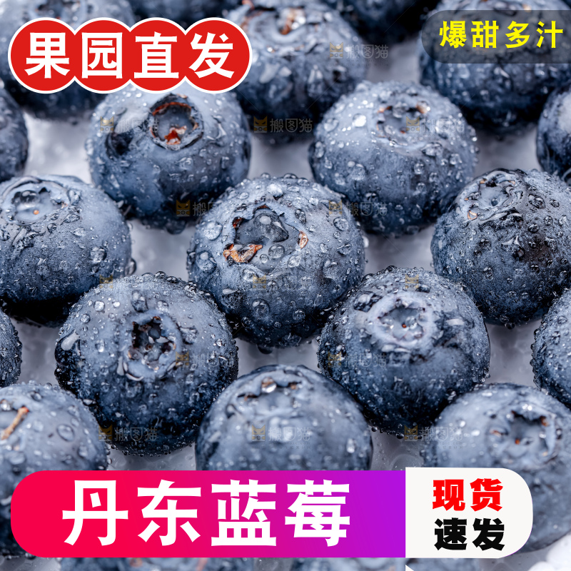 蓝莓