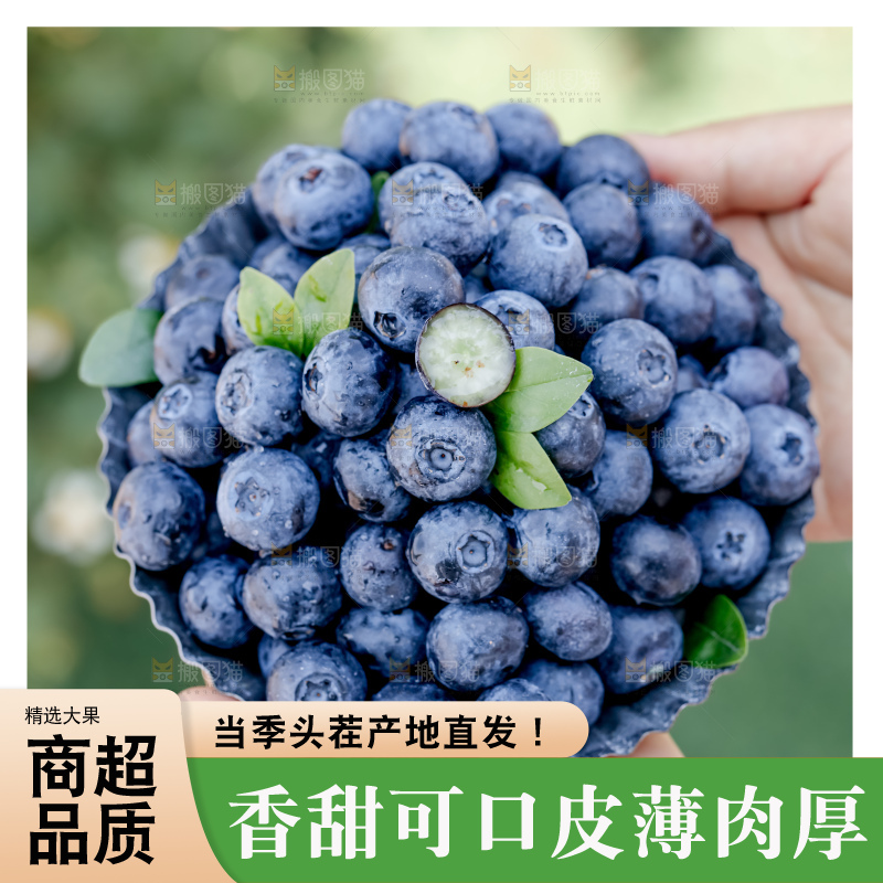 蓝莓