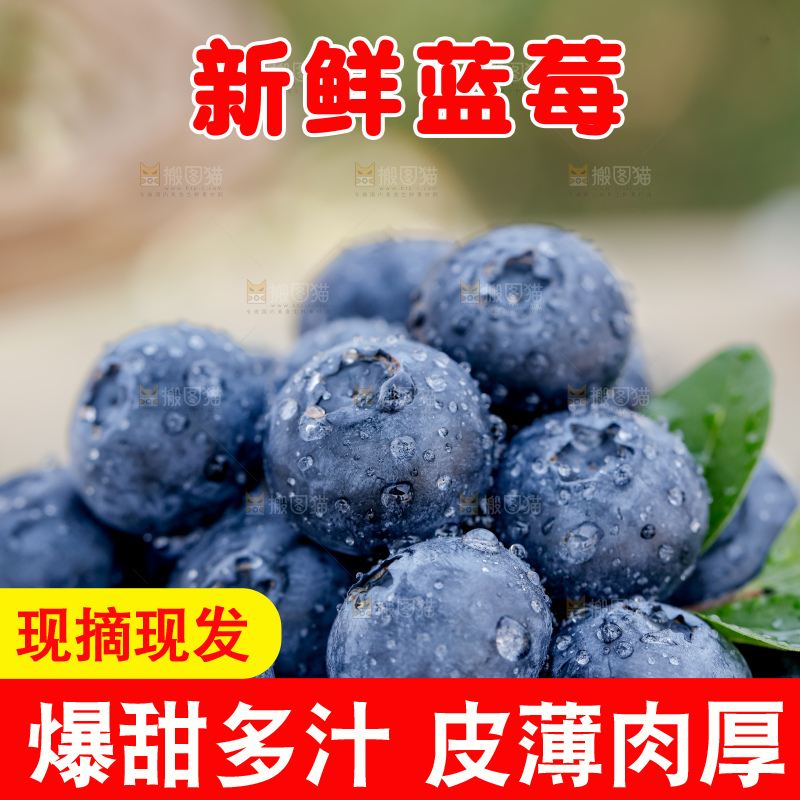 蓝莓