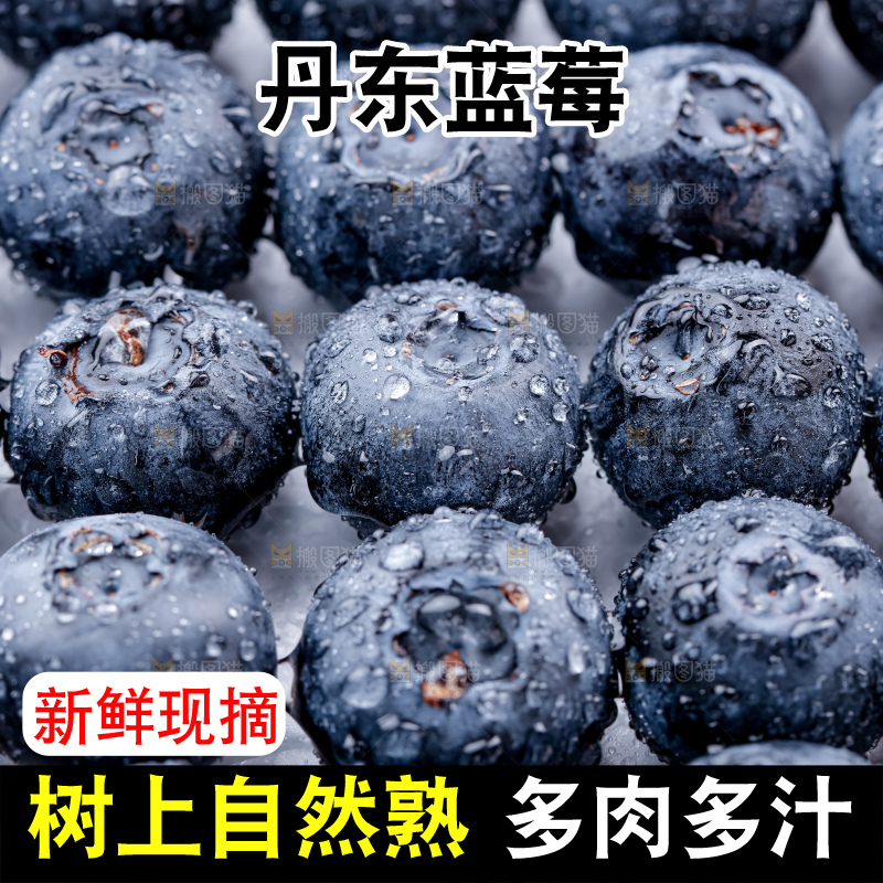 蓝莓