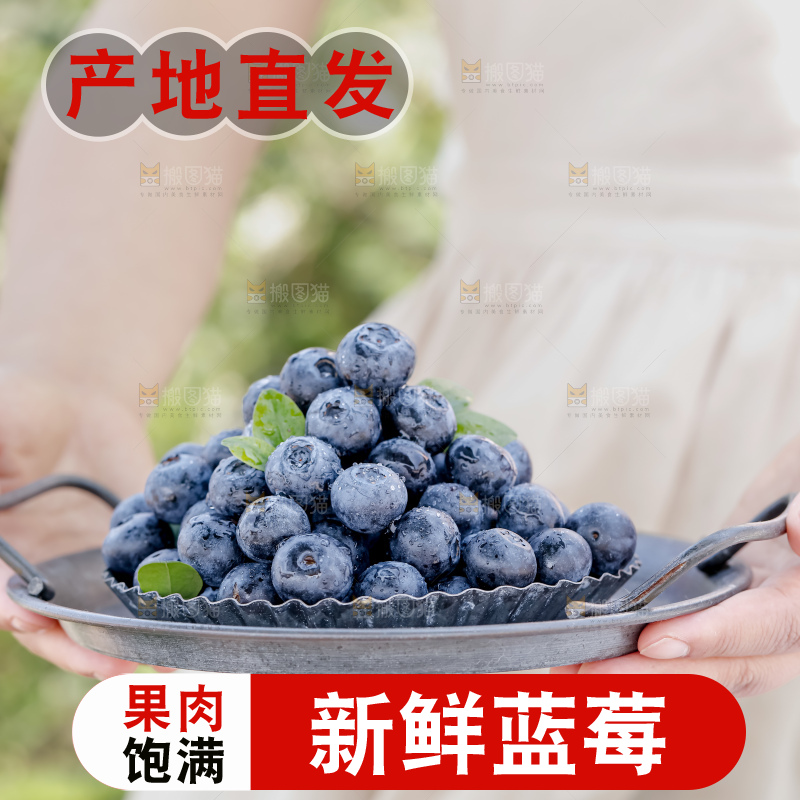 蓝莓