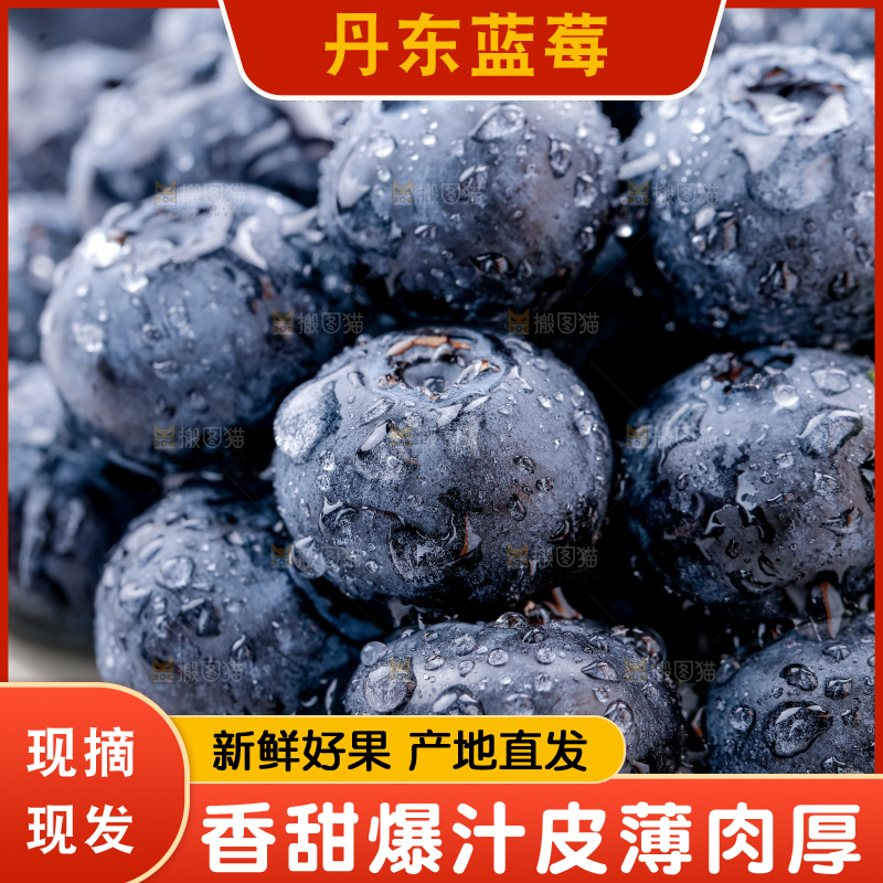 蓝莓