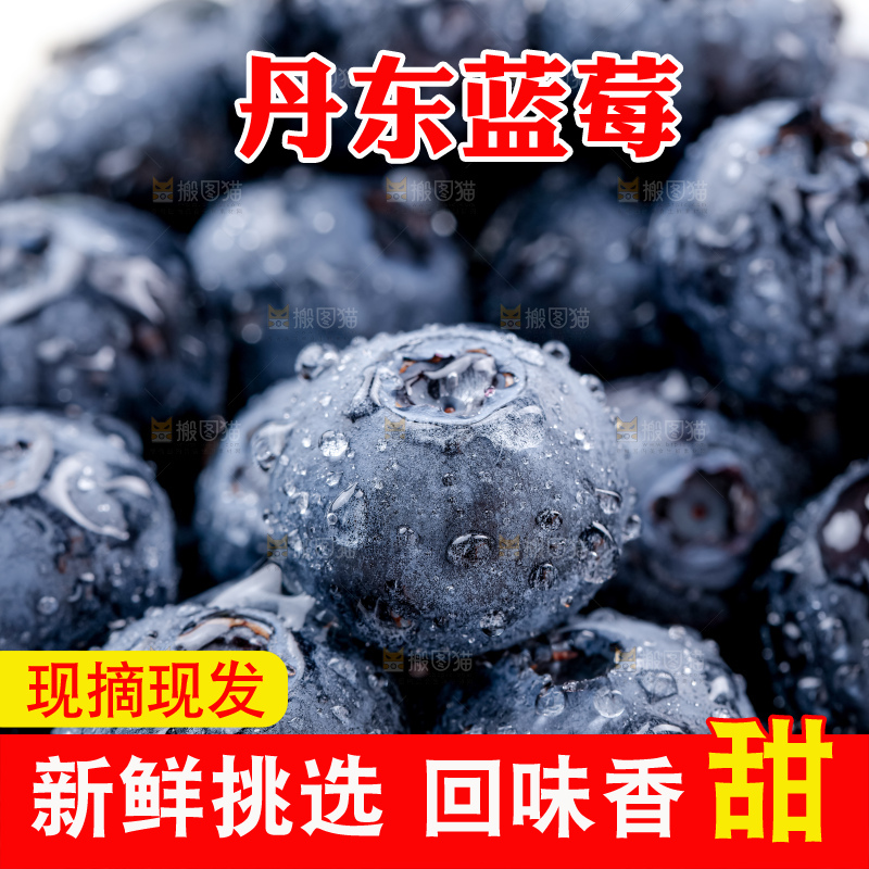 蓝莓