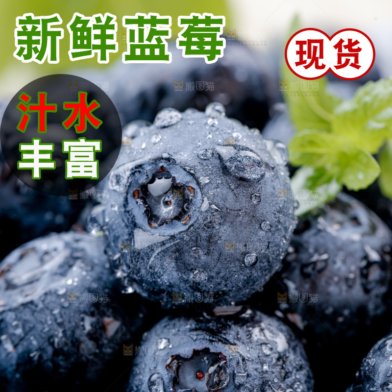 蓝莓