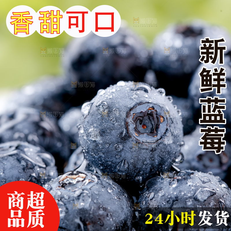 蓝莓
