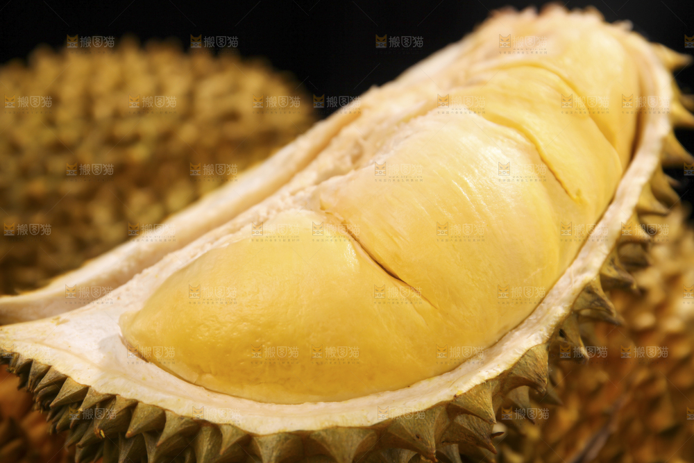 金枕榴莲