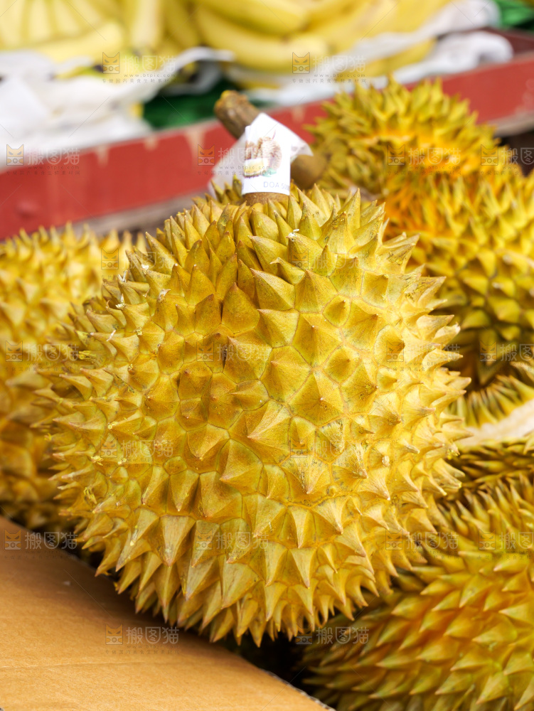 金枕榴莲