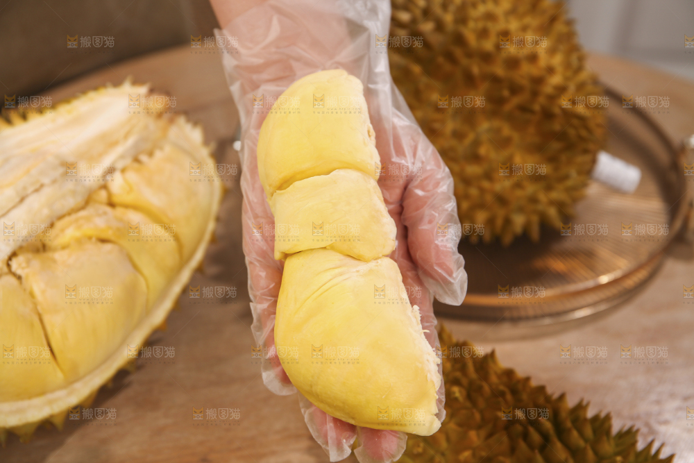 金枕榴莲