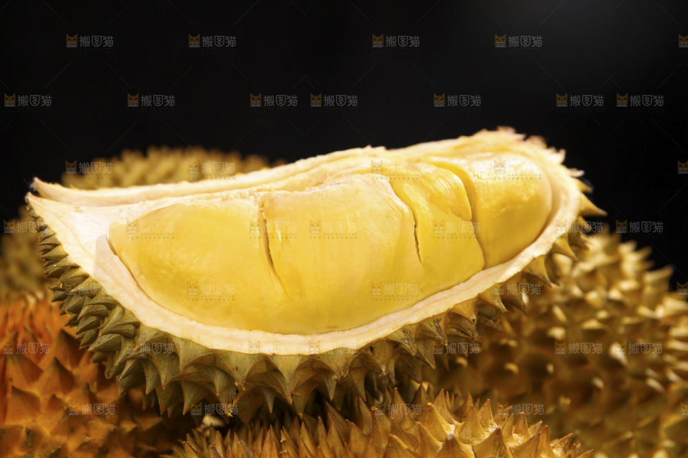 金枕榴莲